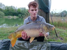 Competities HSV Alfheim